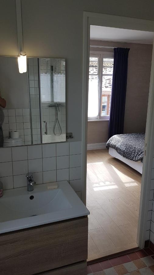 Le Balcon Sur La Meuse Holiday home Revin